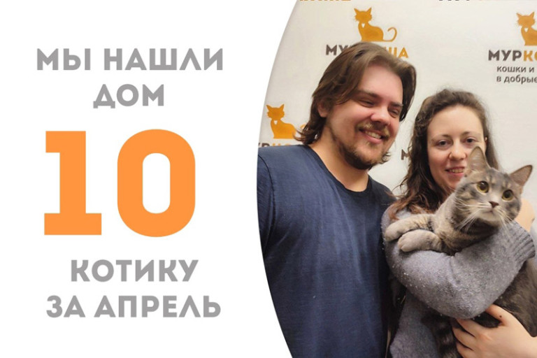 Наш Тенденес снова стал домашним!