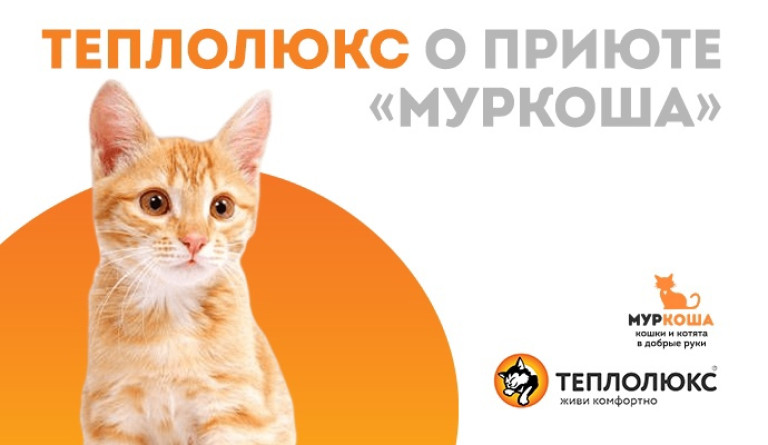 Акция от компании "Теплолюкс"