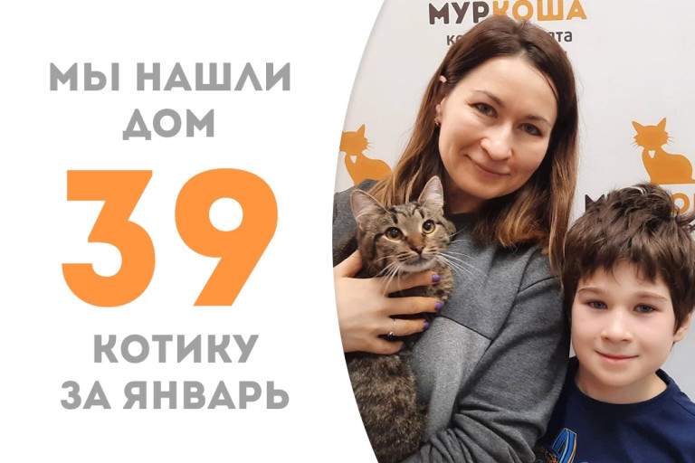 Десятимесячный котёнок Торино счастливый уехал домой!