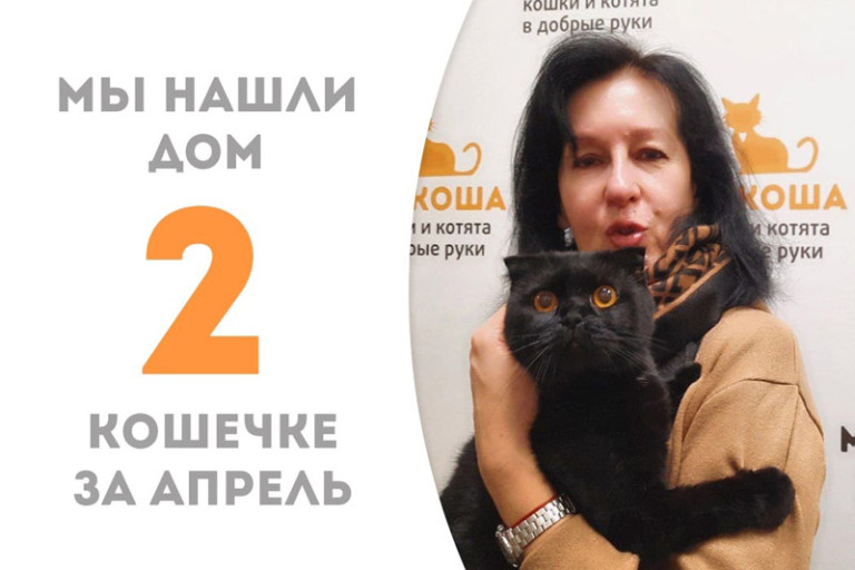 Всего один месяц понадобился полуторагодовалой Туме, чтобы стать домашней!