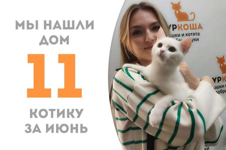 Котёнок Твик стал домашним любимцем всего за месяц!