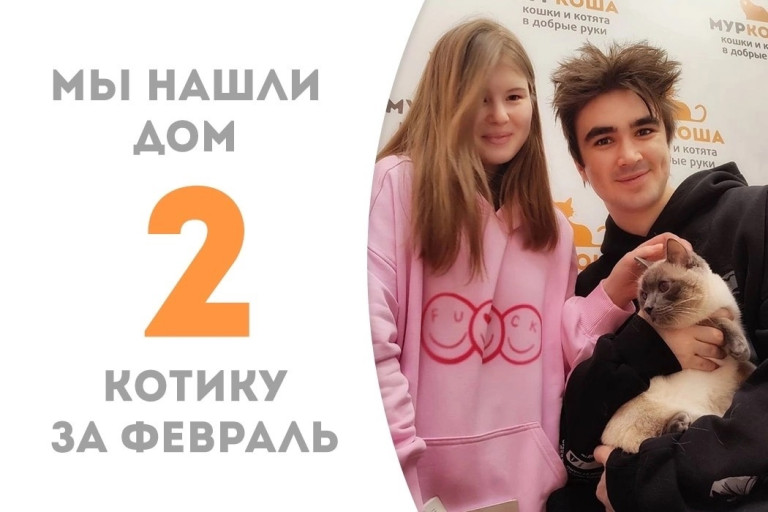 Кот Укропчик стал домашним за два месяца!
