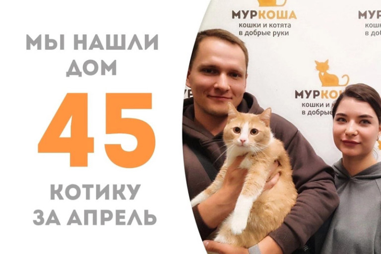Кот Укропыч уехал домой спустя две недели!