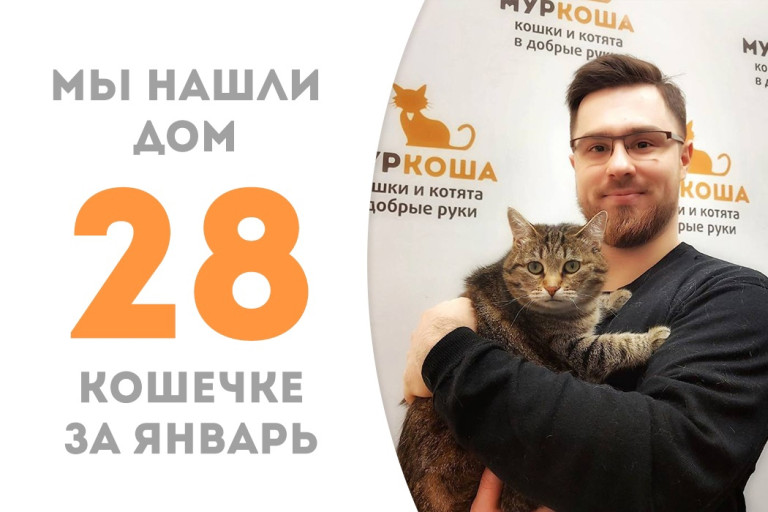 Четырёхгодовалая кошечка Умба обворожила доброго человека и уехала домой!