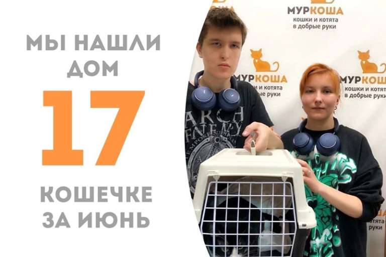 Умница встретила своих новых хозяев!