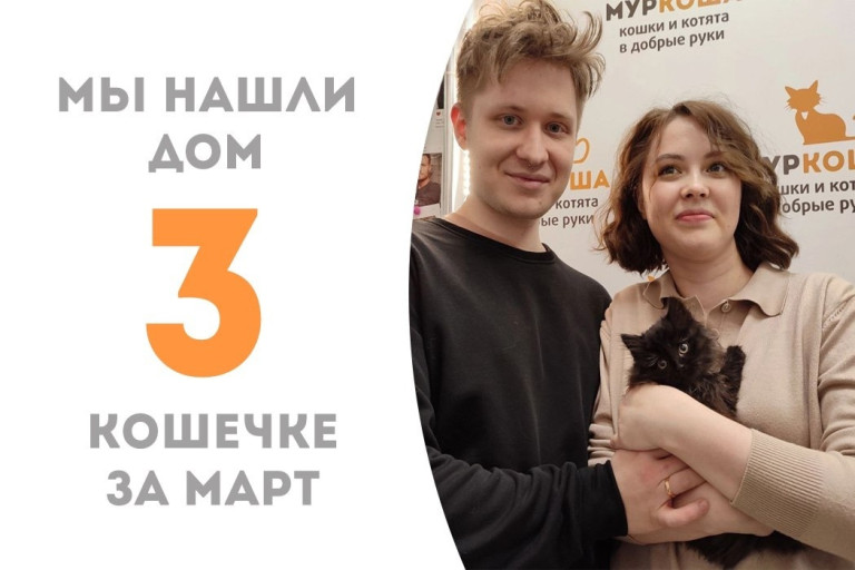 Котёнок Ушанкина нашла добрую  семью, проведя менее месяца в приюте!