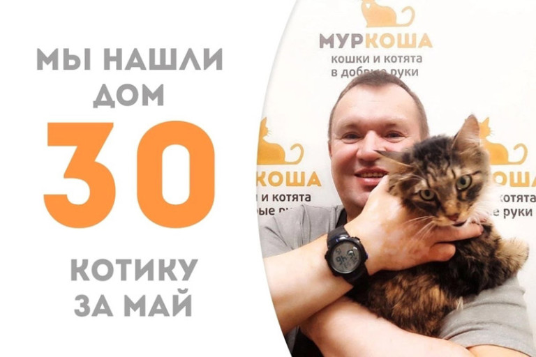 Спустя всего 10 дней Валдай уехал домой!