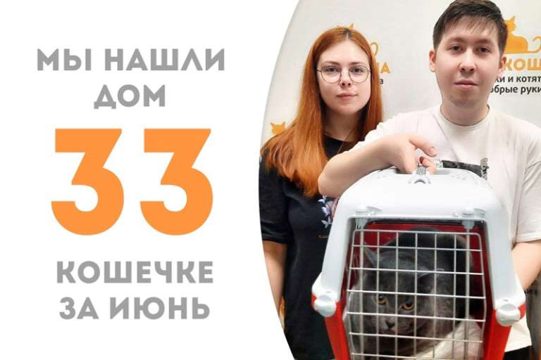 Кошечка Варшава начинает счастливую домашнюю жизнь!