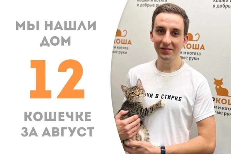 За 1,5 месяца Венера стала любимой и домашней!