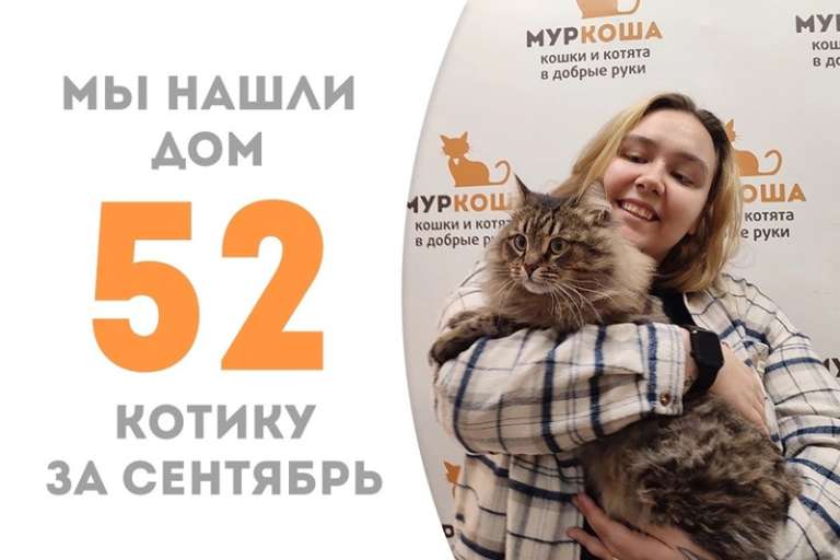 Шикарный Везувий встретил свою хозяйку!