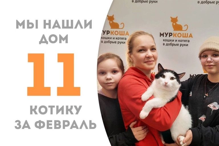 Кот Вивальди начал новую жизнь!
