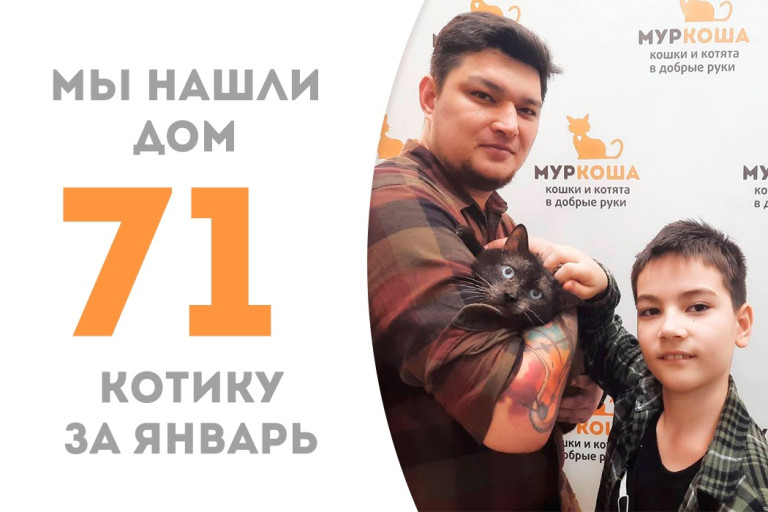 Бесподобный Визерис встретил свою семью, пробыв в приюте немногим более двух месяцев!