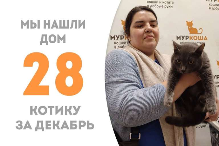 Визимир обрел дом чуть больше, чем за один месяц!
