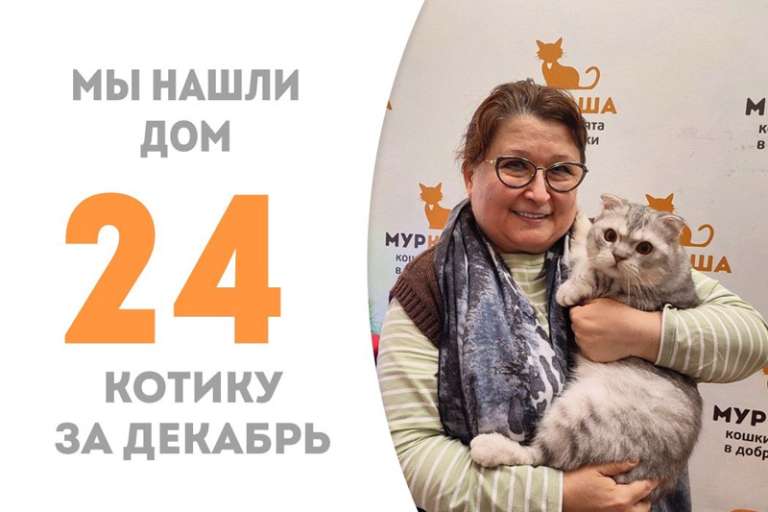 Волшебник стал домашним!