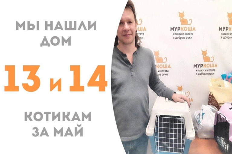 Вупсень и Лунтик отправились домой!