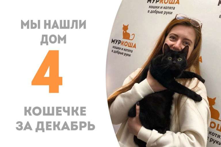 Меньше двух месяцев потребовалось Ясе, чтобы обрести дом!