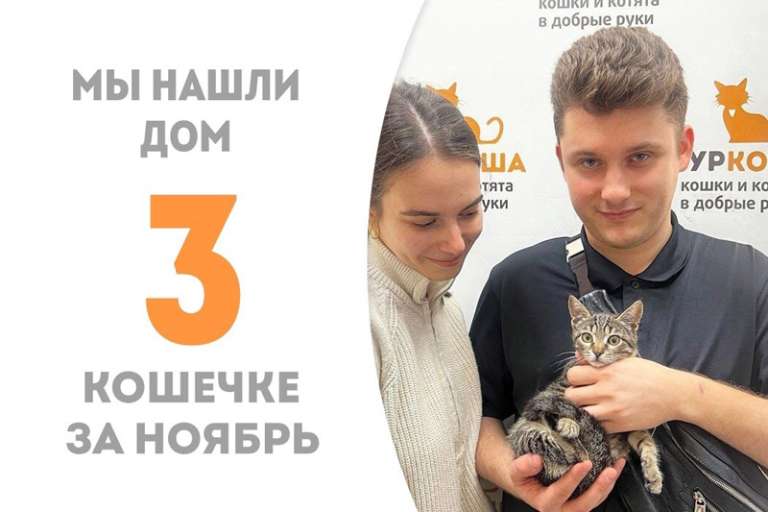 Всего через полтора месяца Юлианочка устремляется в домашнюю жизнь!