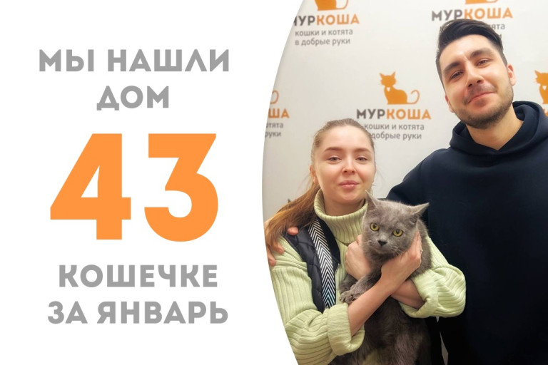 Кошечка Южанка встретила свою семью!