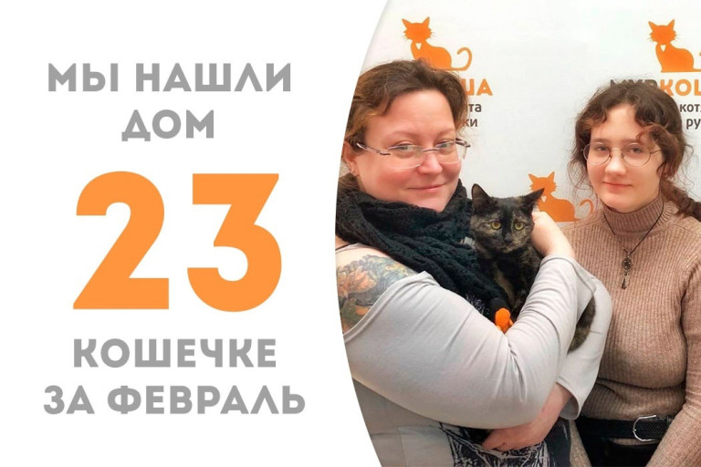 У кошечки Жади начинается счастливая домашняя жизнь!