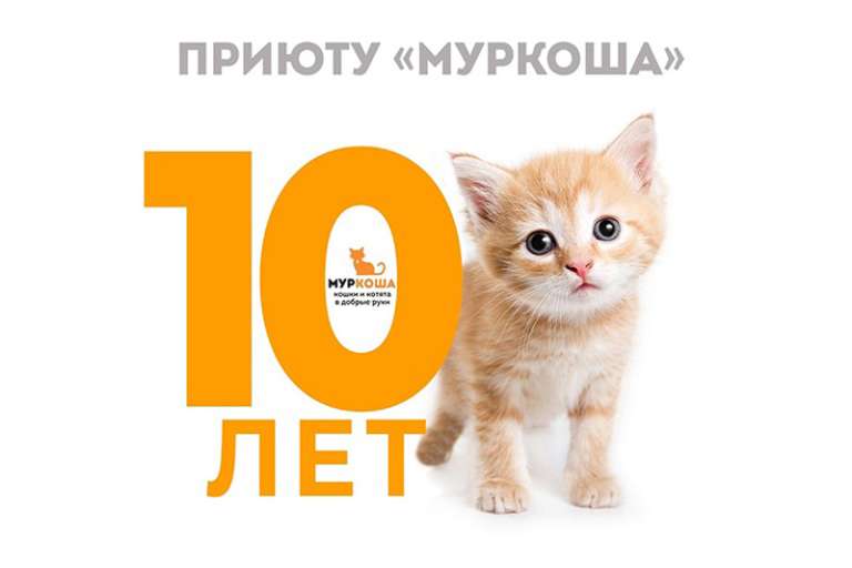 Приюту «Муркоша» исполняется 10 лет!