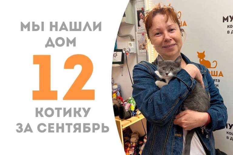 Адрик нашел себе хозяйку уже на четвертый день!