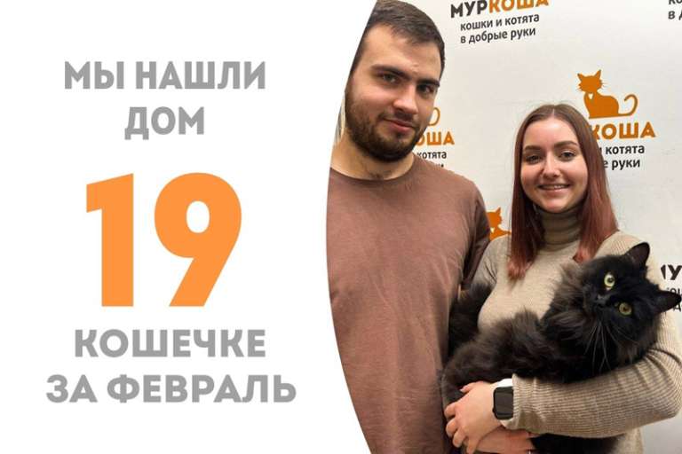 Алисабель встретила своих людей!