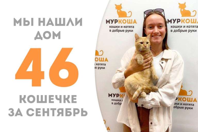 Кошка Амарани стала домашней!