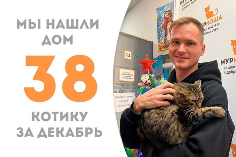 Амиго будет встречать Новый год дома, где его уже ждет наш выпускник Котофей!