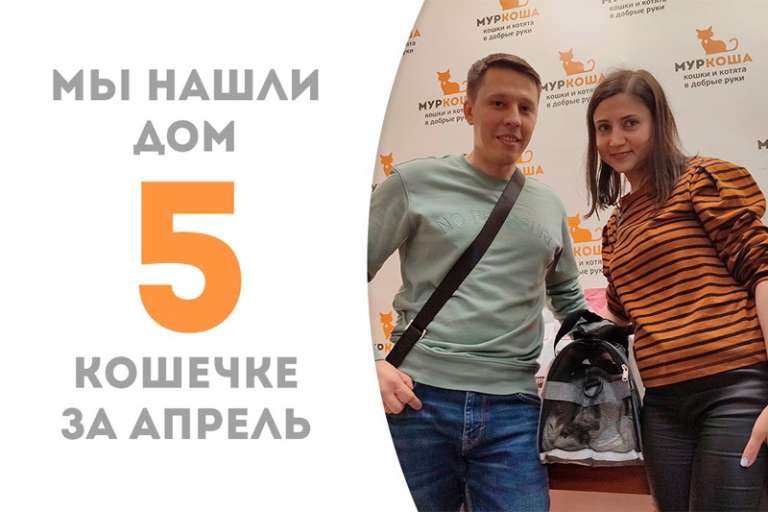 Аперолька покинула наш приют, пробыв в нём менее 3-х месяцев!
