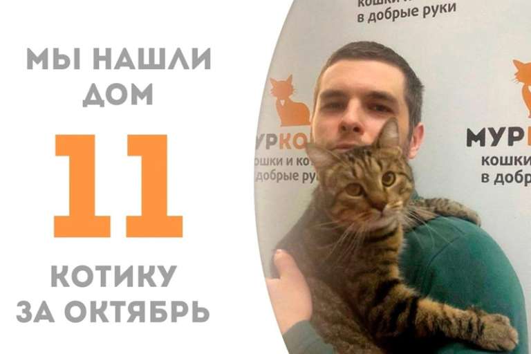 Армавир обрел дом!