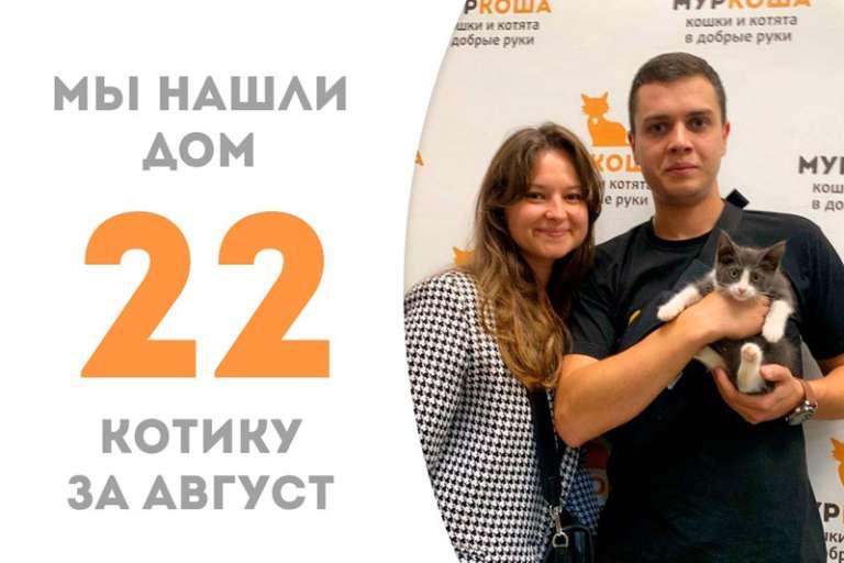 Ашер уезжает в счастливую домашнюю жизнь, пробыв у нас всего месяц!