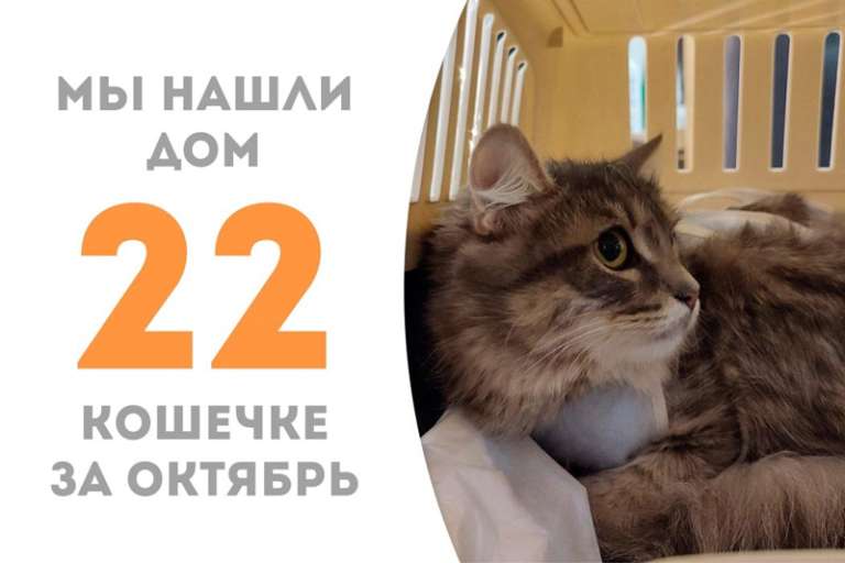 Скромняжка Атисса завоевала сердце своего человека и уехала домой!