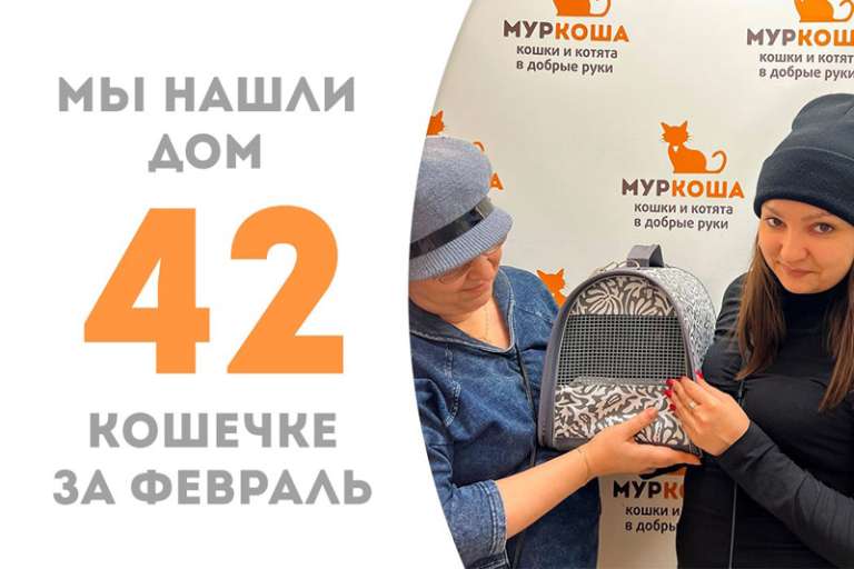 Стесняшка Ависта обрела дом!