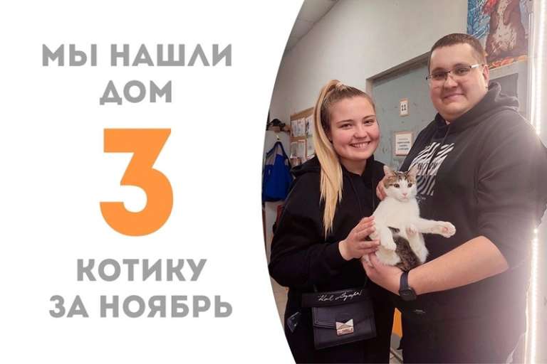 Айфоша нашел добрые ручки!