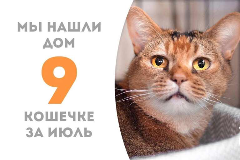Айшвария встретила свою семью!