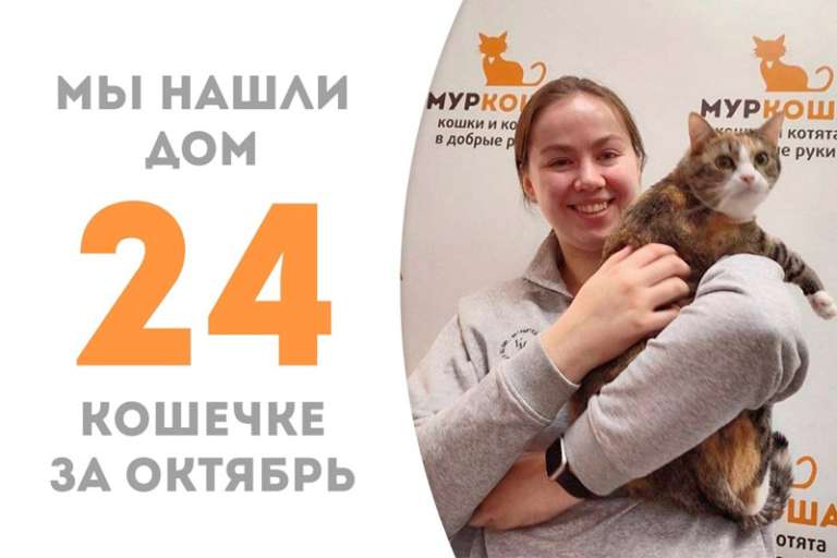 Великолепная Бакэнэко прощается с приютом, потому что она становится домашней любимицей!