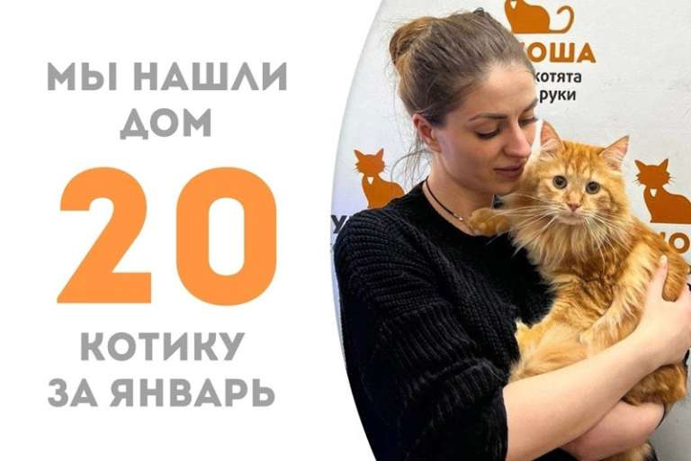 Баламут теперь домашний!