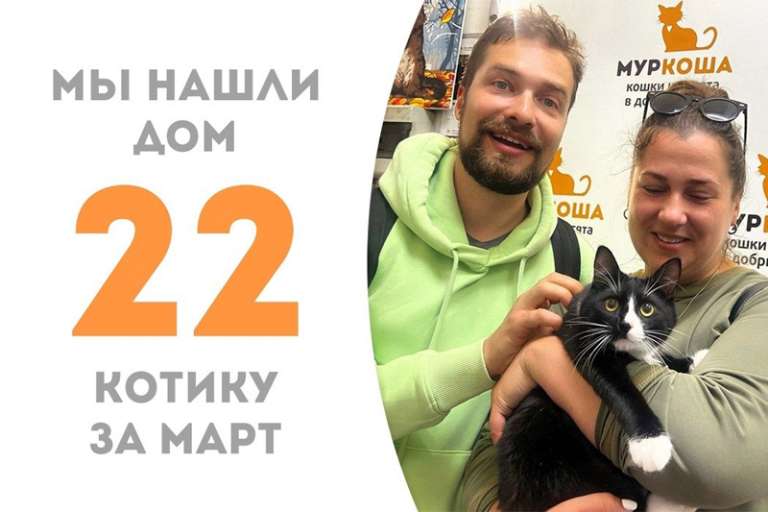 Котик Бамбино отправляется домой!