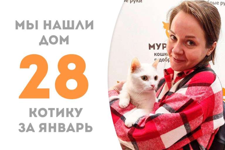 Батонио снова обрел дом!