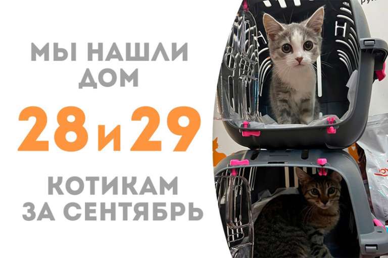 Отправили в одну семью сразу двоих крох - Баймакс (спустя чуть больше недели) и Варгиз (спустя 2 месяца)!
