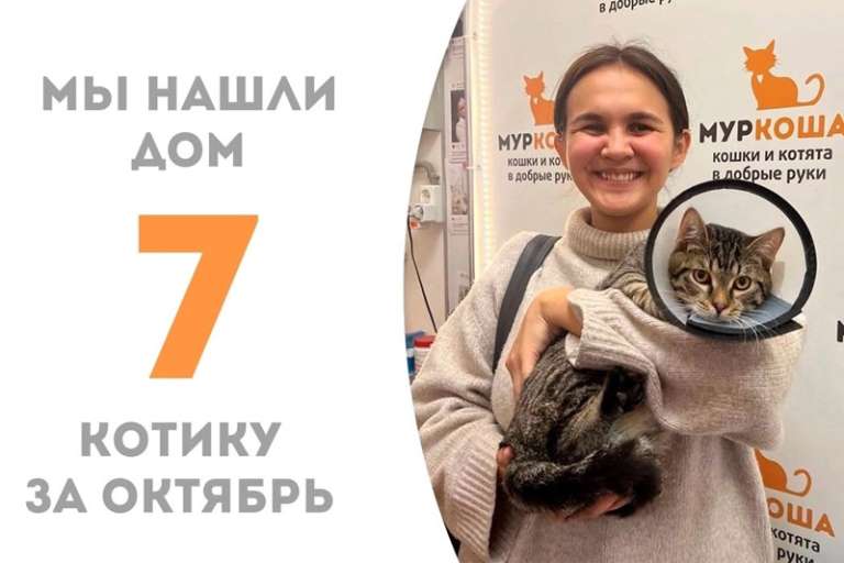 У Бруклина появилась хозяйка!