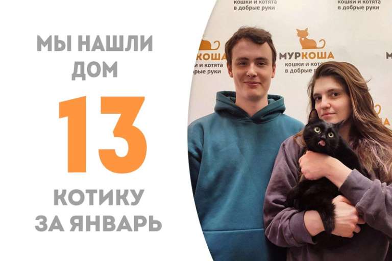 Чоня, пробыв у нас меньше месяца, отправляется в прекрасную домашнюю жизнь!