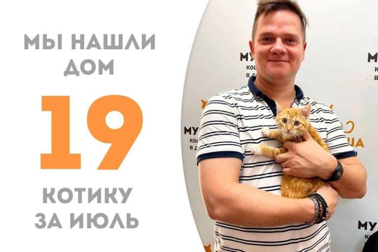 Меньше месяца понадобилось сладкому Цукатику, чтобы обрести дом!