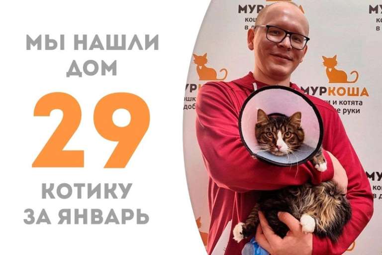 Демонсоро обрел дом и своего человека!