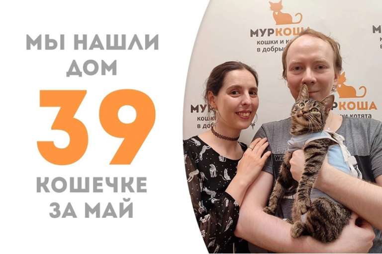 Диез обрела дом!