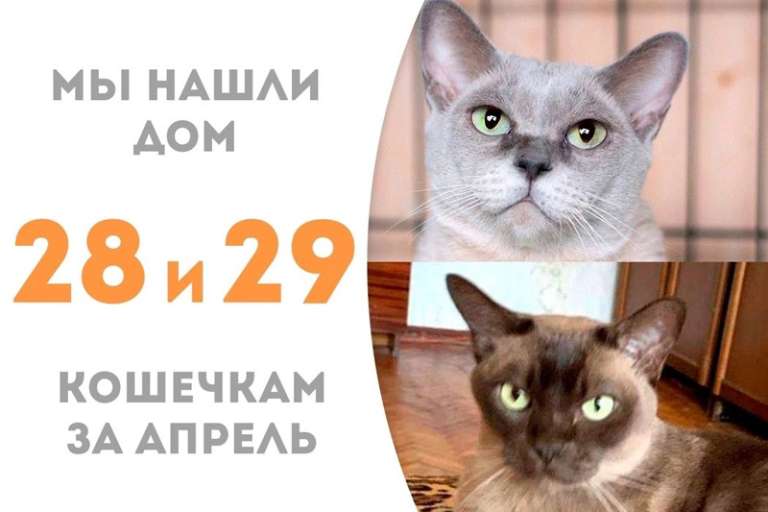 Дусенька и Мусюша обрели новый дом!