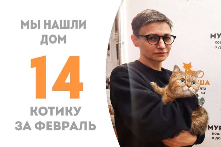 Пышнощёкий Джиллис уехал домой!