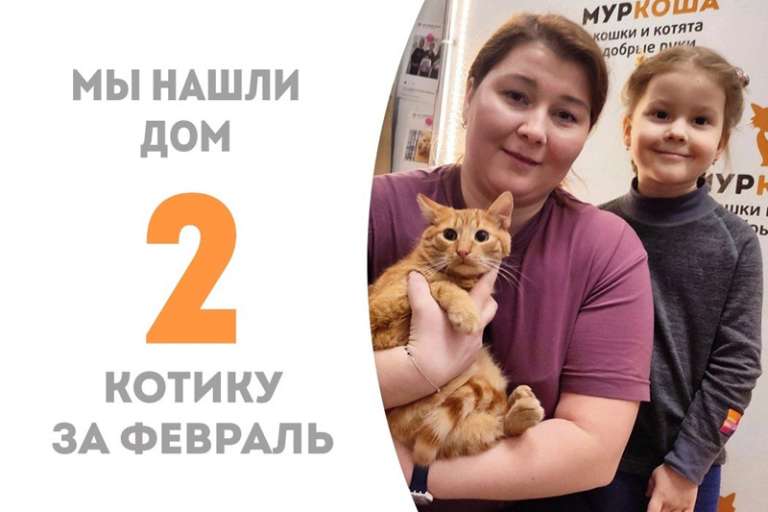 Спустя всего три месяца котенок Эфри нашёл дом!