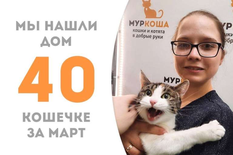 Невероятная Эльма нашла свою хозяйку!