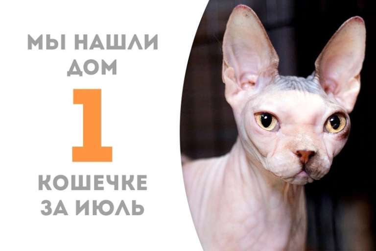 Спустя два месяца Эмори уехала домой!